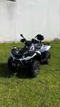 Quad Linhai 300 4x4 – 847 km, Guincho e Bola de Reboque