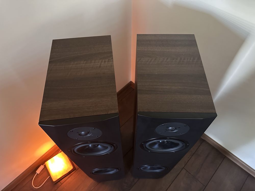 Pylon Saphire 25 kolumny audio orzech