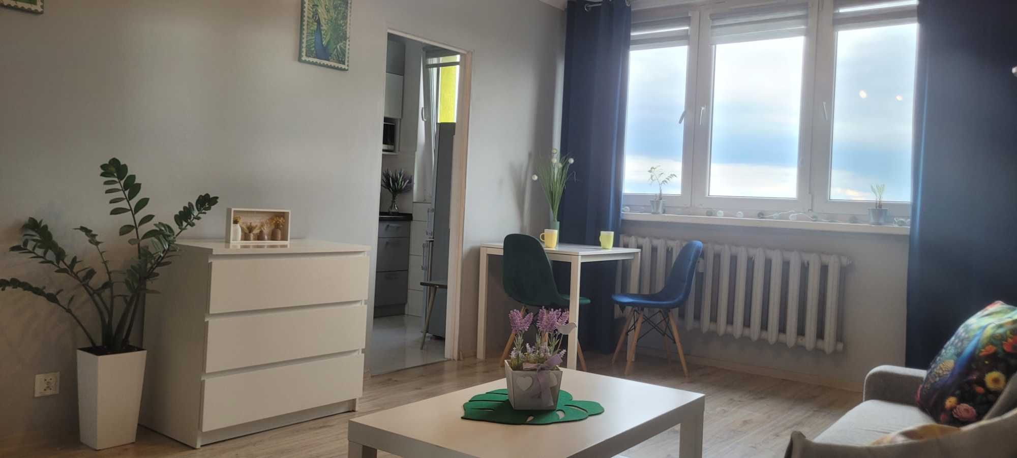 Bezpośrednio kawalerka na Pogoni ul. Staropogońska