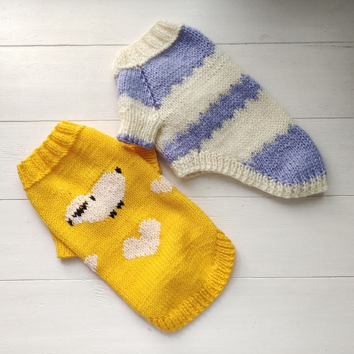 Одяг для собак . Светр для собаки