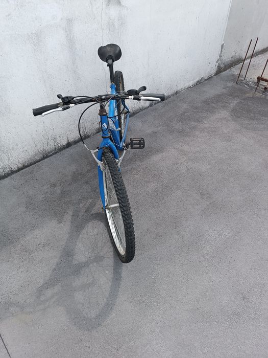 Bicicleta adulto