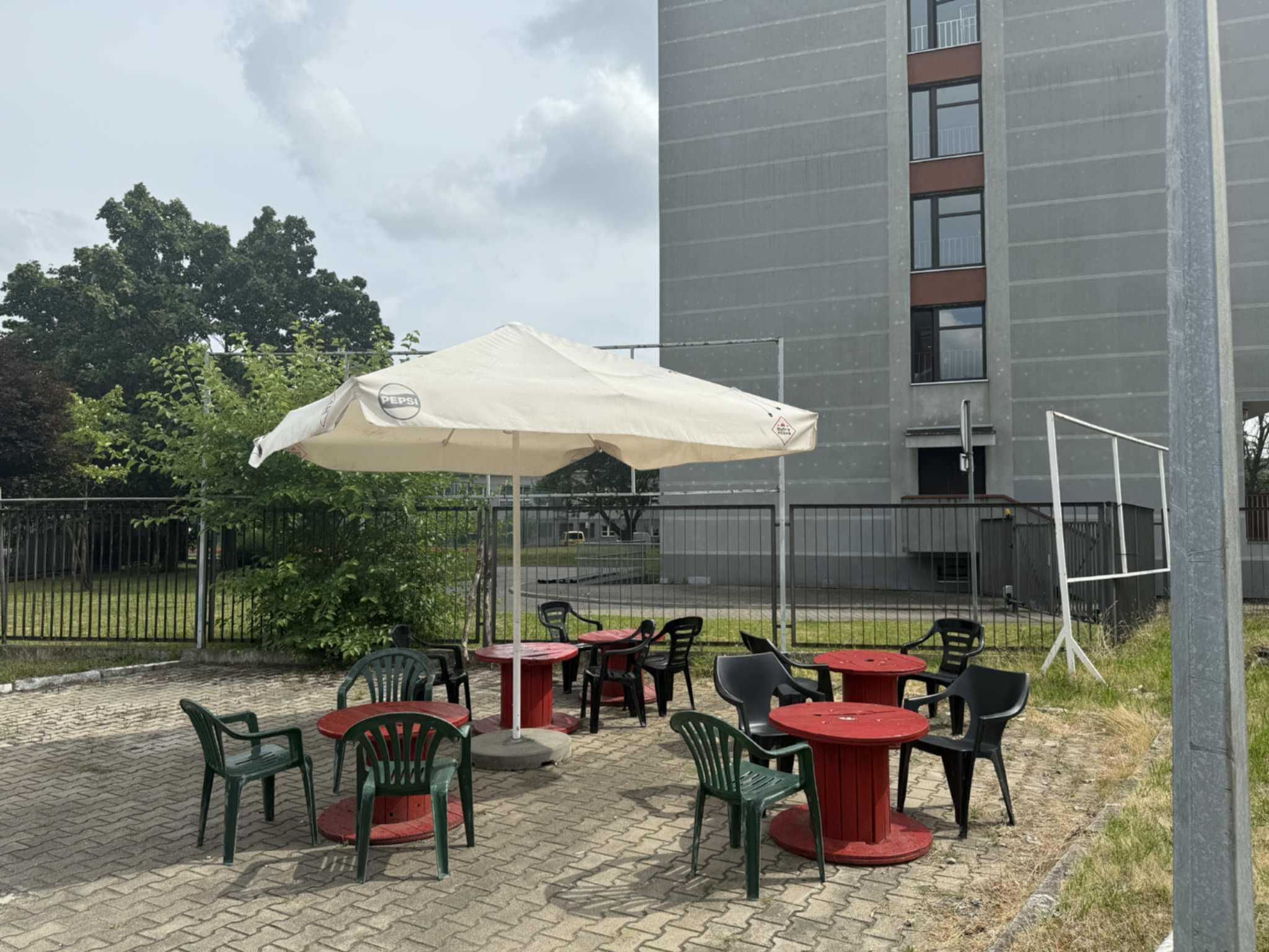 Ogórek gastronomiczny
