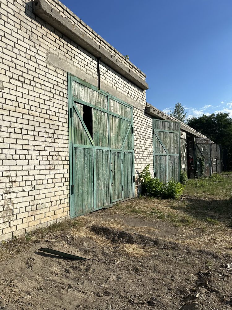 Здам в оренду гараж