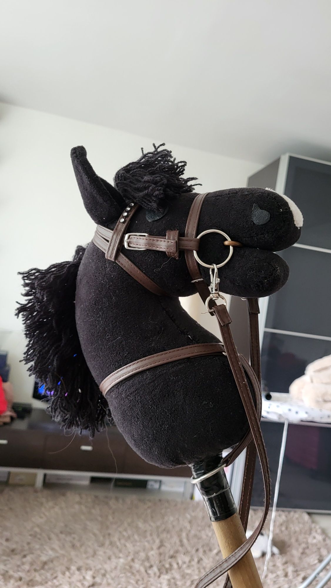 Hobby horse  konik