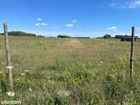 Działka budowlana, PŁOSKA, bezpośrednio 1100m2