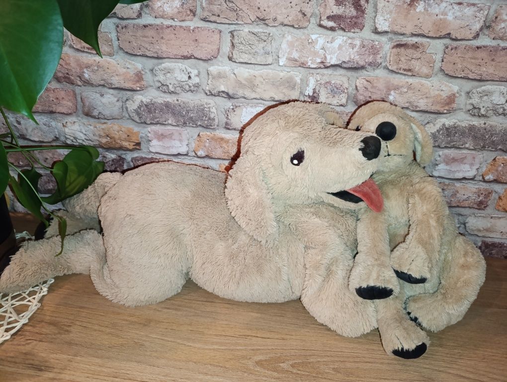 GOSIG GOLDEN Golden retriver duży i maly pluszak maskotka z Ikea