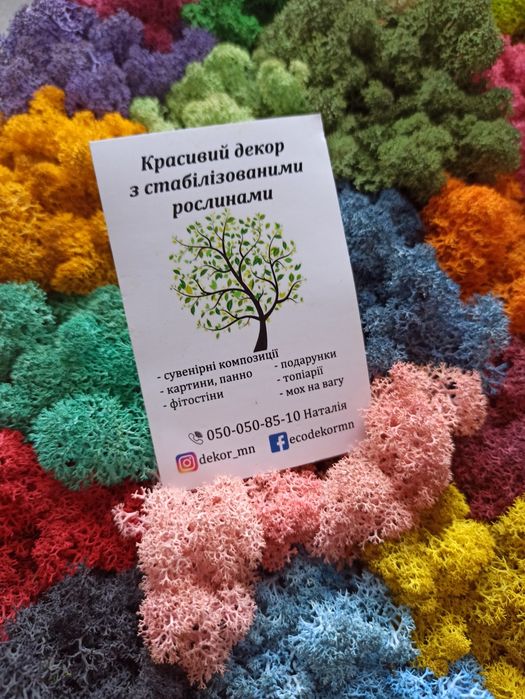 Стабілізований мох ягель 0,5 кг