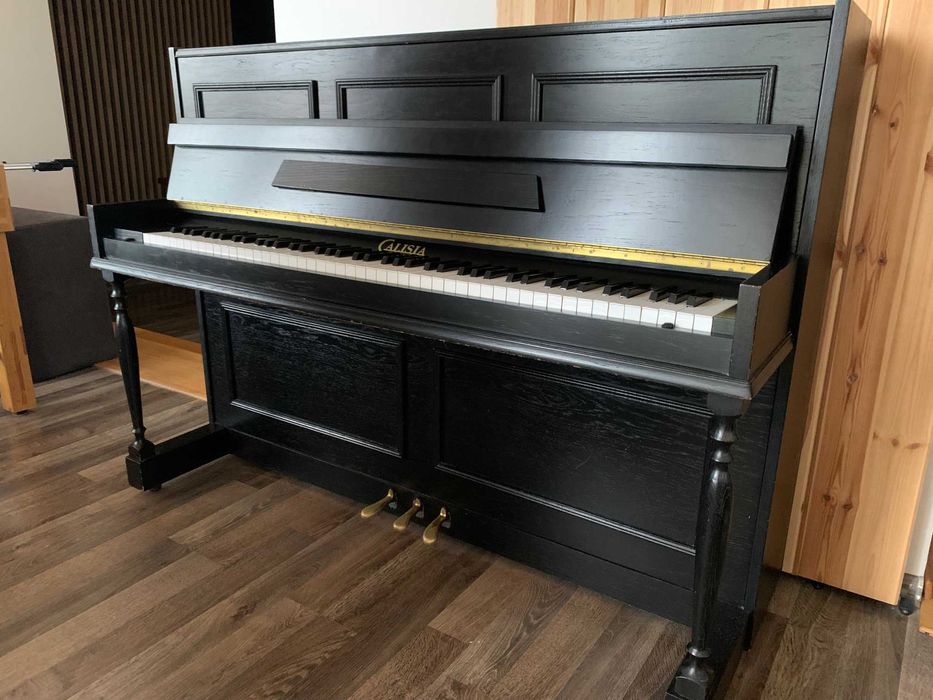 Pianino Calisia!!!