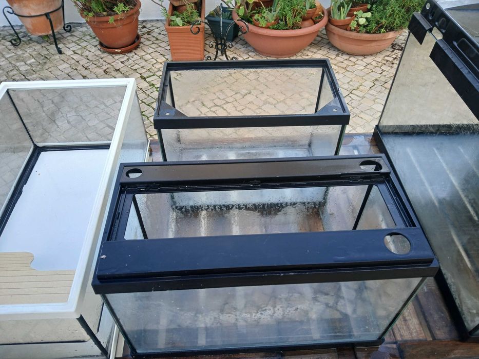 Vários aquários, pequenos e grandes usado