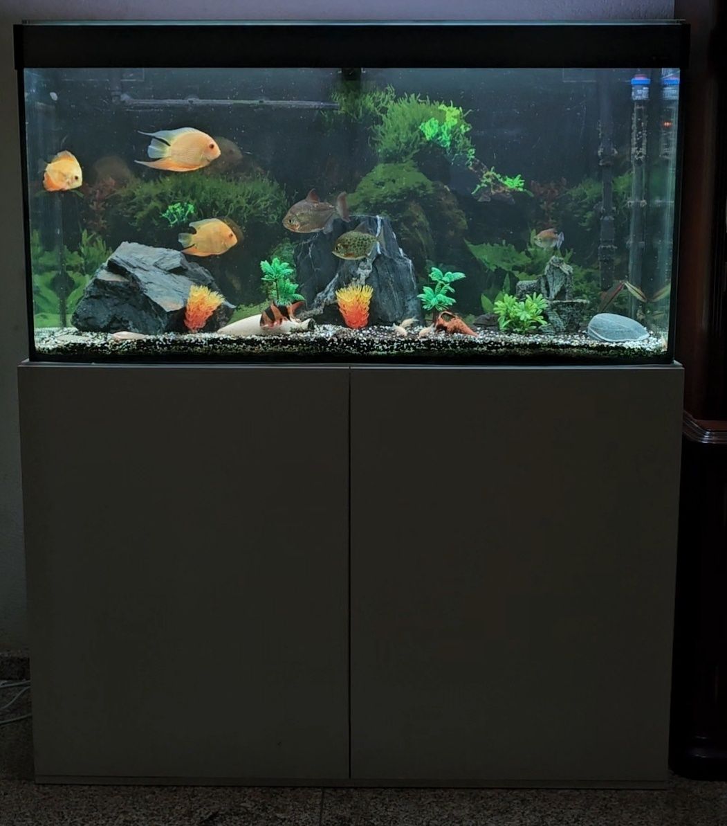 Aquario completo ciano 118x36x60
