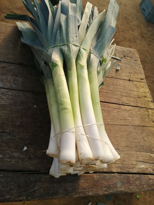 Por dwójka sałatkowy