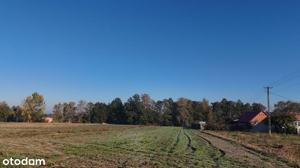 Sprzedaż działki  – cicha okolica 16 km od Kalisza