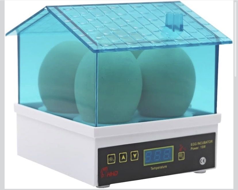 Incubadora  Inteligente de ovos (4)