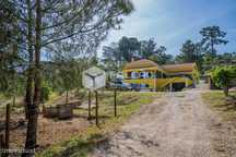 Moradia Isolada T3+2 Venda em Chamusca e Pinheiro Grande,Chamusca