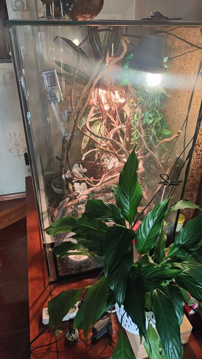 terrarium  100/80/60 z wyposażeniem ,z lampami