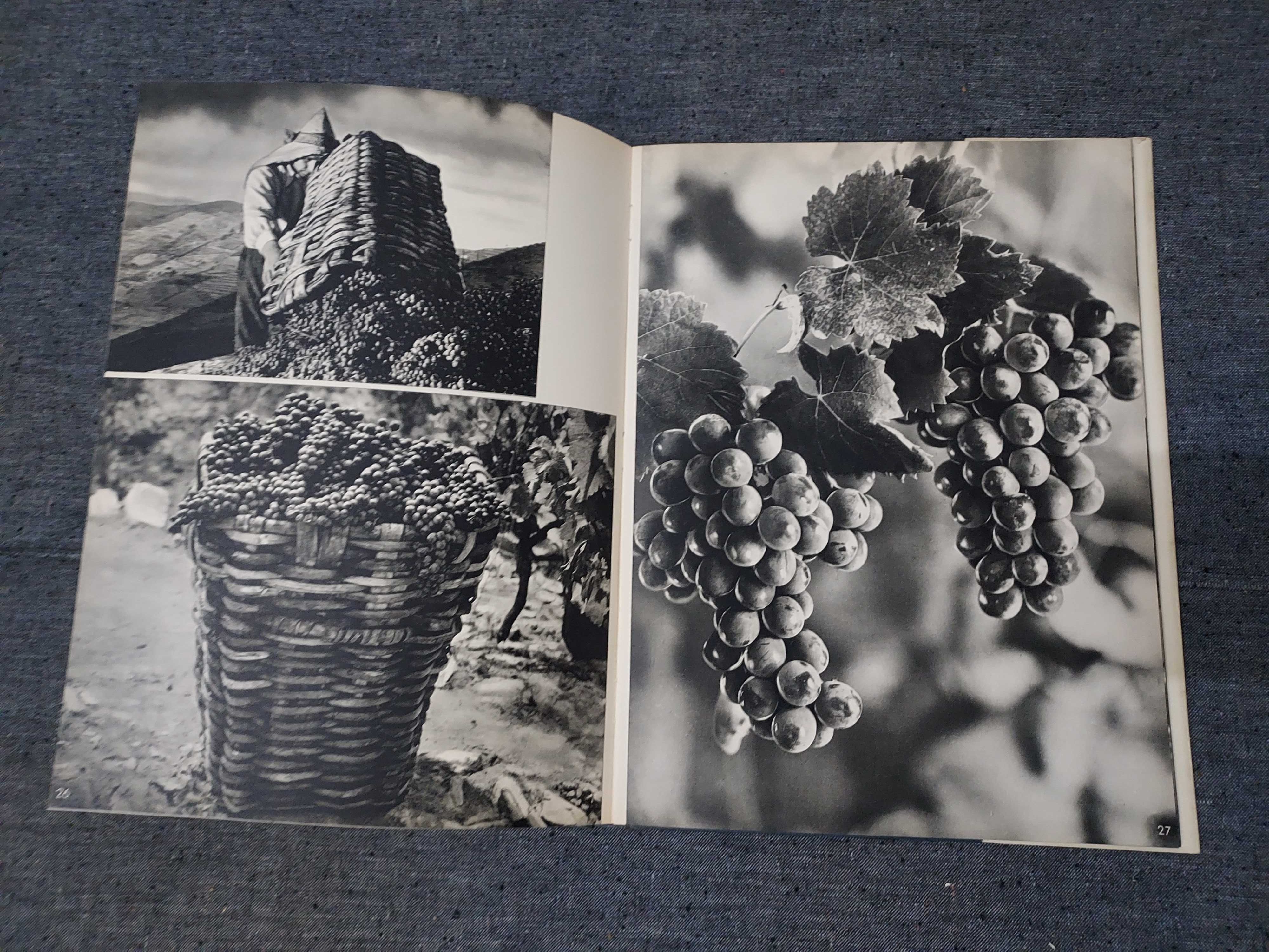 Frederic P. Marjay-Porto e Seu Distrito-1955 Photobook