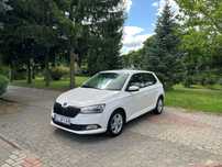 Skoda Fabia Salon Polska, Pierwszy właściciel