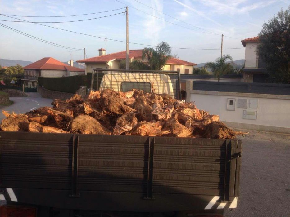 Venda de lenha para aquecimento 23m3