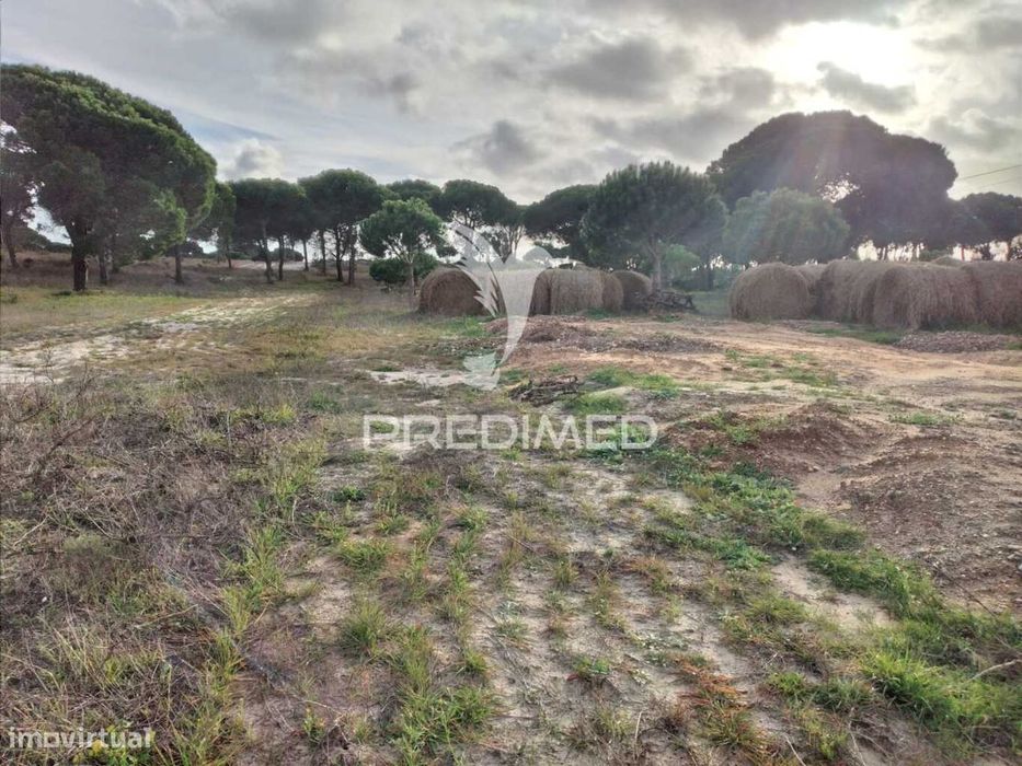 Terreno Rústico com 33.145m2 em Melides.