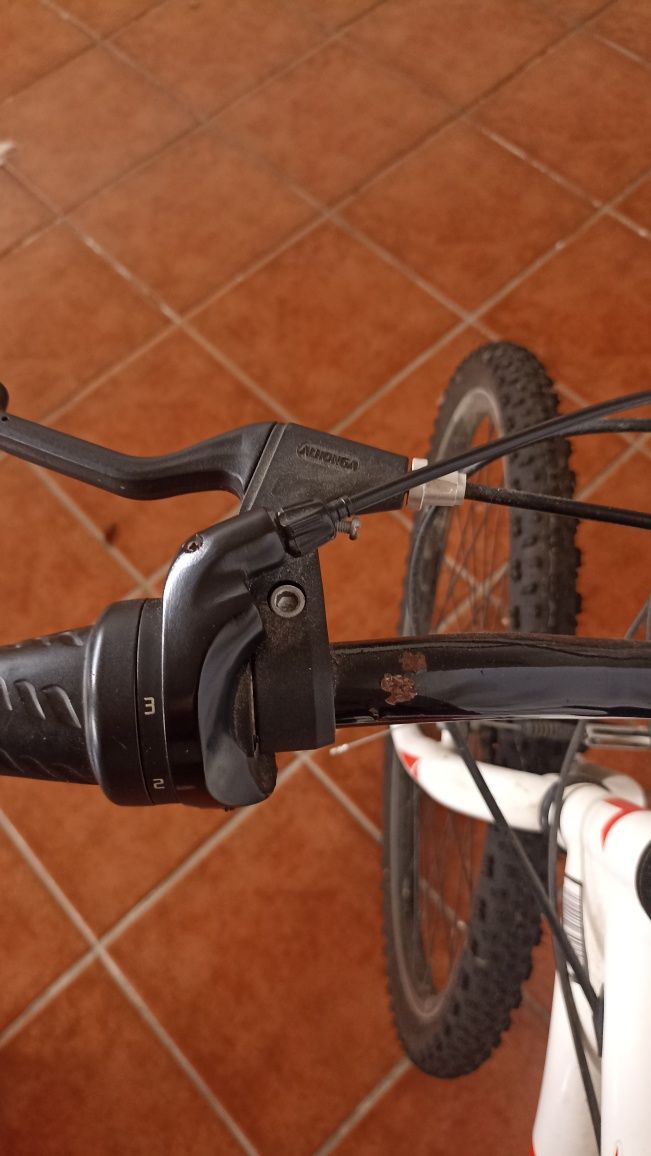 Bicicleta de adulto