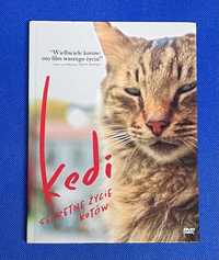 Płyta DVD Kedi sekretne życie kotów