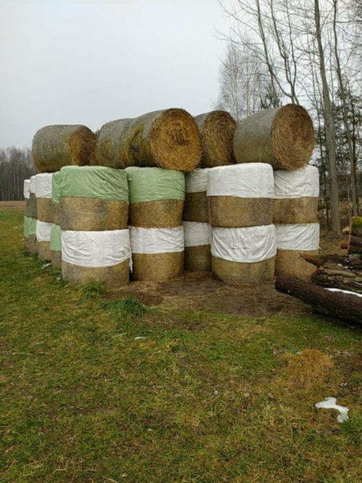 Słoma w balotach 2025