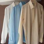 Camisas "Pluma"  nº 39 - Camisaria Moderna