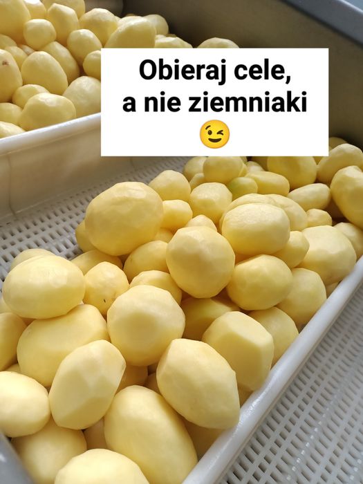 Ziemniak obrany obierany ręcznie premium bez chemi