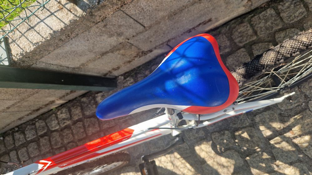Bicicleta de criança