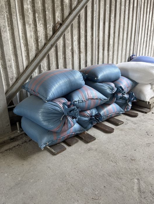 Pszenica / Owies / Kukurydza / srutowanie / transport