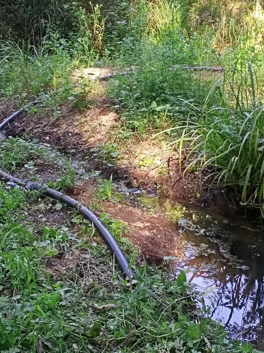 Terreno à venda, Santa Comba Dão, Ecopista do Dão 1