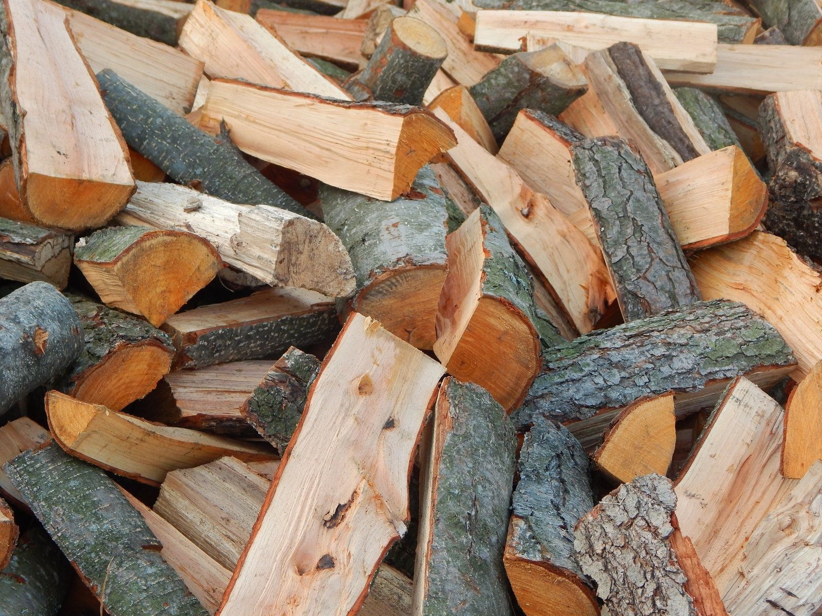 Продам дрова разних порід