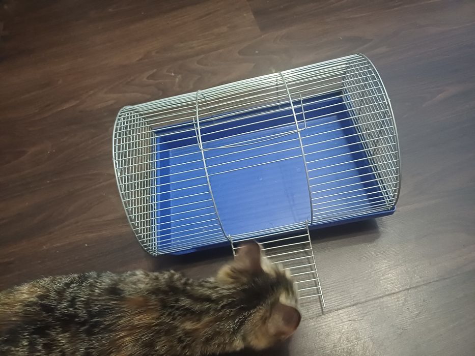 Клітка для гризуна