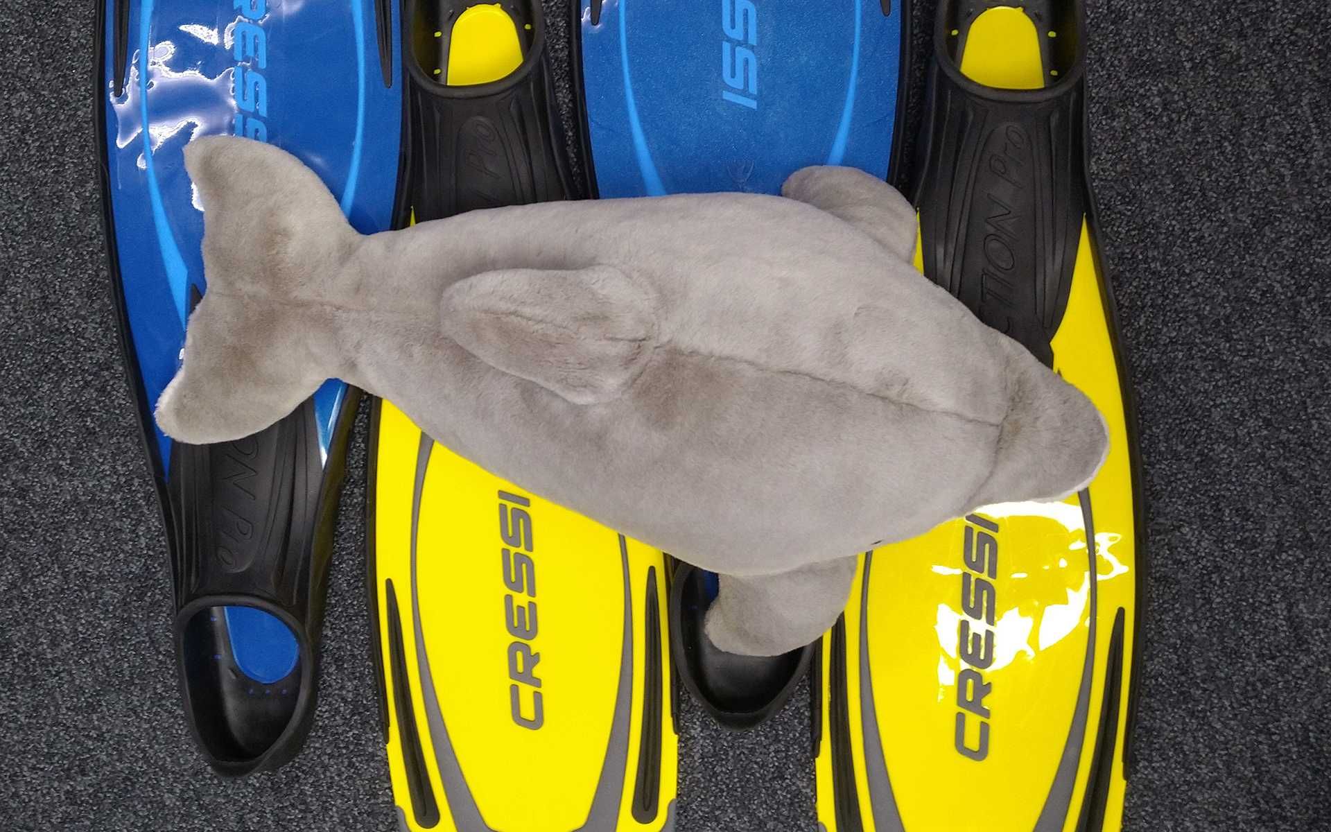 Delfin pluszowy maskotka pluszak