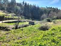 Terreno Urbano em Cristelo - Paredes