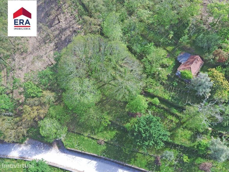 Terreno com ruína em Guimarei