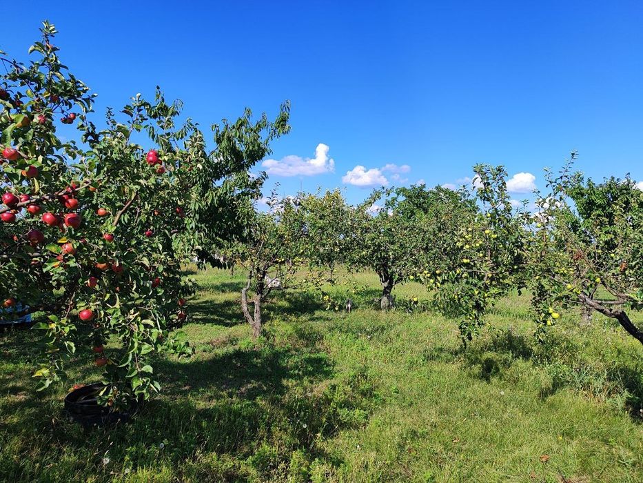 Продам дом недалеко от города, большой участок