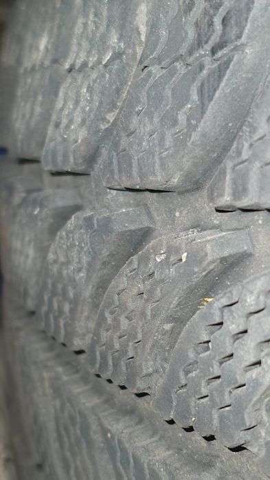 Koła zimowe Dębica Frigo 2 195/65/15 Passat b5