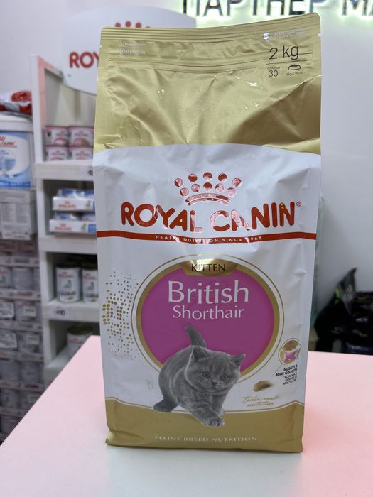 Royal canin kitten british 2 кг корм для котів