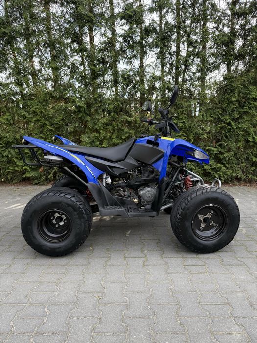 Aeon cobra 220 sport * okleina * sportowy * bashan cpi barossa