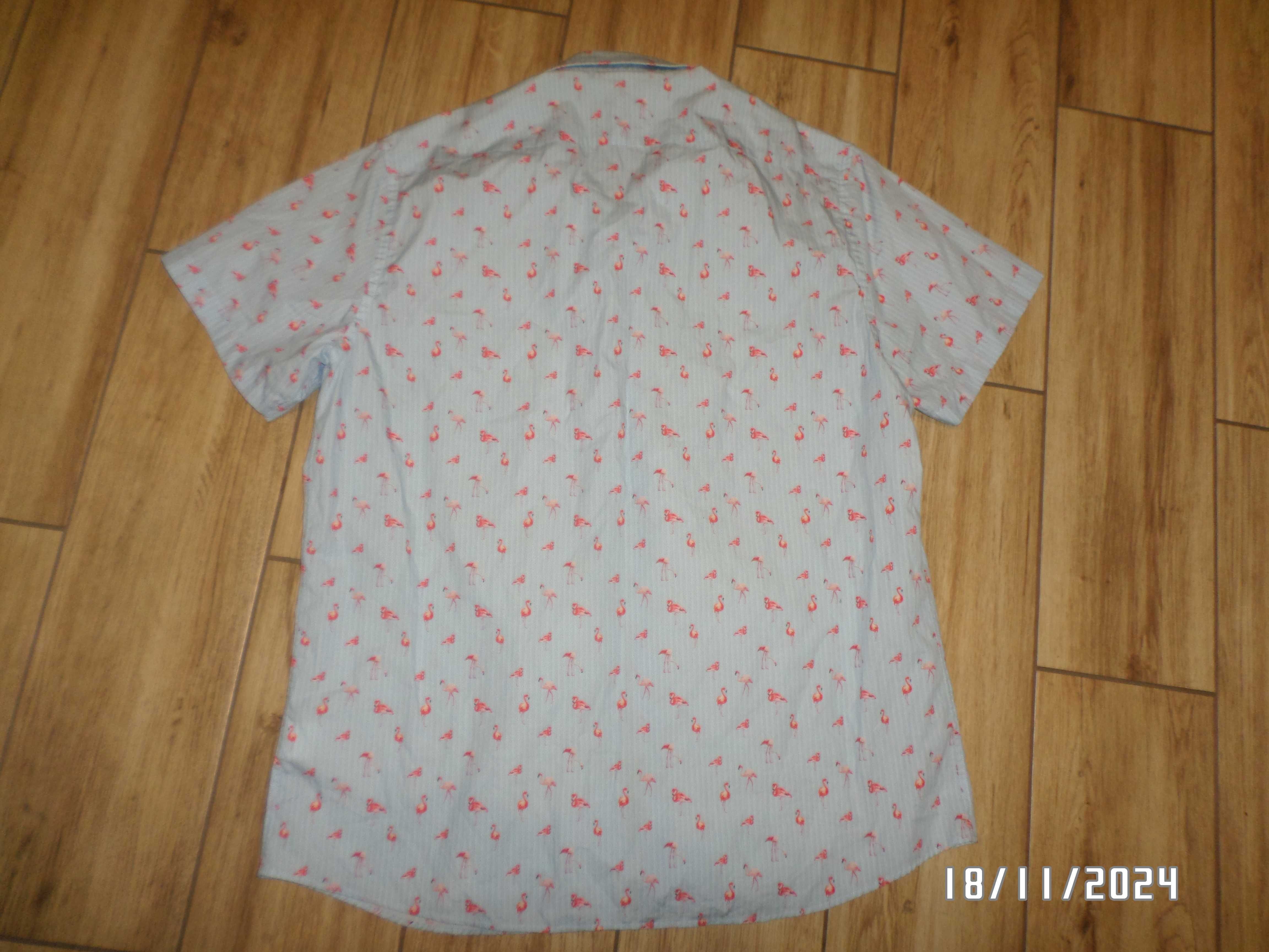 firmowa męska koszula hawajska-KANTT-XL/XXL