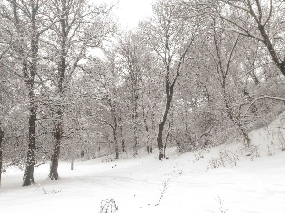 Продаж земельної ділянки