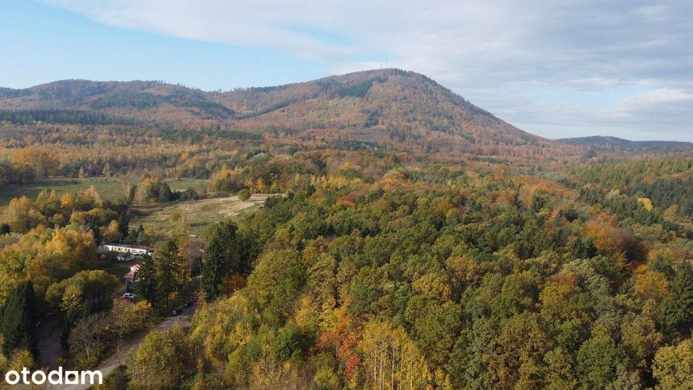 Sprzedaż działki przy ul. Piasta 16 w Wałbrzychu