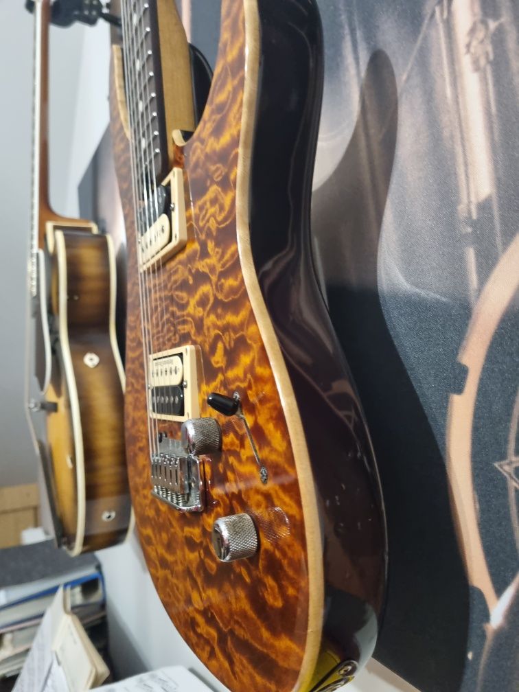 Peavey Limited HB USA