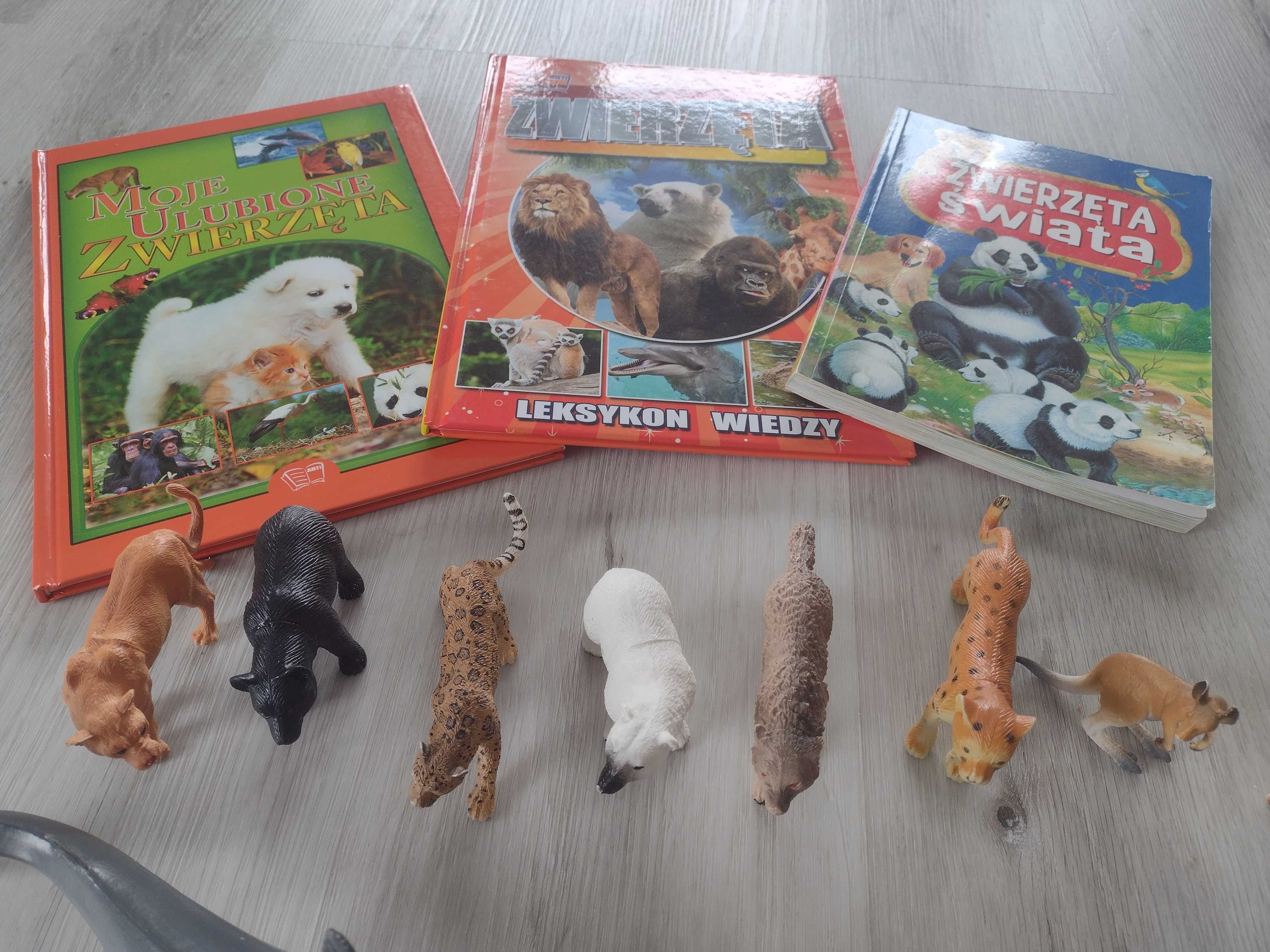 zestaw dla miłośnika zwierzątek książki plus figurki zwierząt