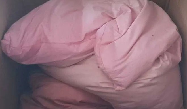 Poduszki z pierza gęsiego 3 szt