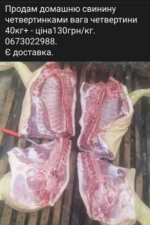 Продаю тушки свині 130 грн/кг