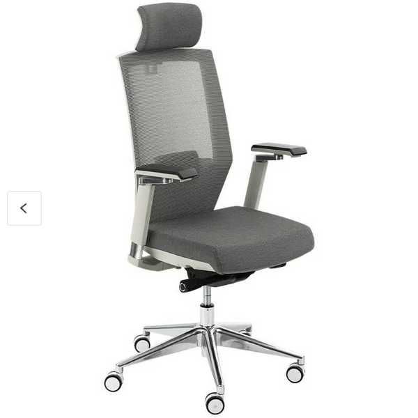 Krzesło Biurkowe Ergonomiczne BS10 (BS10)