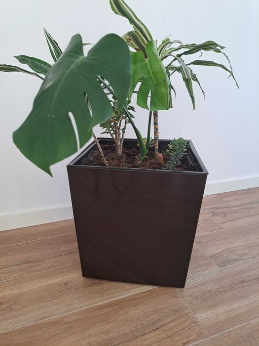 Vendo vaso com planta de interior