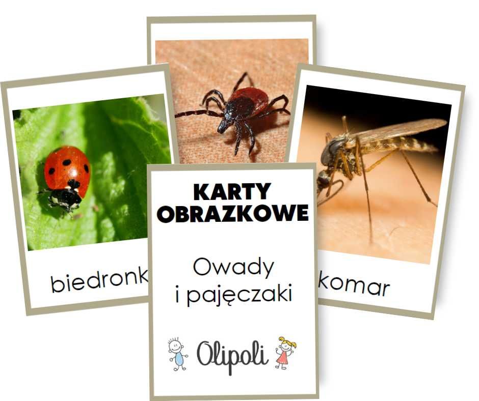 Karty obrazkowe - Owady i pajęczaki - FISZKI Montessori